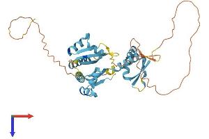AlphaFold protein structure predicition of Human Recombinant PCBP3 Protein, UniprotID P57721