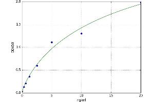 Transglutaminase 1, Keratinocyte (TGM1) ELISA Kit
