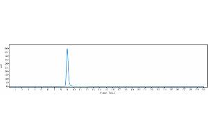 The purity of Anti-CD47 Reference Antibody (CC-90002) is 100 % , determined by SEC-HPLC. (Recombinant CD47 anticorps)