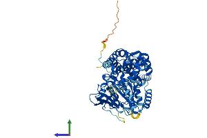 AlphaFold protein structure predicition of Mouse Recombinant Ehd1 Protein, UniprotID Q9WVK4