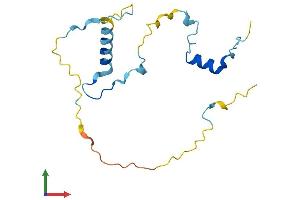 AlphaFold protein structure predicition of Human Recombinant KIAA1143 Protein, UniprotID Q96AT1