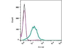Cell surface detection of Adenosine A1 Receptor by indirect flow cytometry in live intact mouse  microglia cell line: + goat-anti-rabbit-FITC . (ADORA1 anticorps  (Extracellular))
