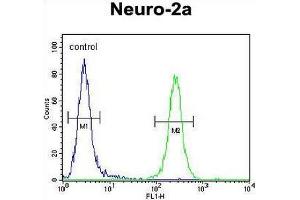 CCDC123 Antibody (C-term) flow cytometric analysis of Neuro-2a cells (right histogram) compared to a negative control cell (left histogram). (CEP89 anticorps  (C-Term))