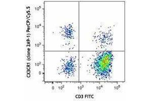 Flow Cytometry (FACS) image for anti-Chemokine (C-X3-C Motif) Receptor 1 (CX3CR1) antibody (PerCP-Cy5.5) (ABIN2660174)