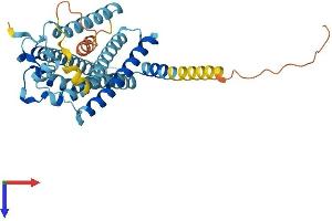 Lysophosphatidic Acid Receptor 2 (LPAR2) (AA 1-348) protein (His tag)