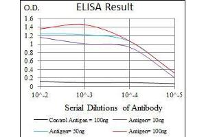 Black line: Control Antigen (100 ng), Purple line: Antigen(10 ng), Blue line: Antigen (50 ng), Red line: Antigen (100 ng),