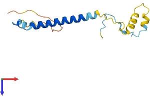 AlphaFold protein structure predicition of Human Recombinant PAIP2 Protein, UniprotID Q9BPZ3