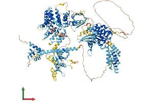 AlphaFold protein structure predicition of Human Recombinant MAP3K6 Protein, UniprotID O95382