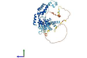 AlphaFold protein structure predicition of Mouse Recombinant Katnal1 Protein, UniprotID Q8K0T4