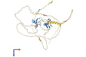 AlphaFold protein structure predicition of Human Recombinant GATA1 Protein, UniprotID P15976