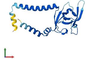 AlphaFold protein structure predicition of Human Recombinant SEC11A Protein, UniprotID P67812