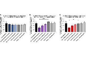 Amyloid beta 1-42 oligomers (ABIN7272125, ABIN7272126 and ABIN7272127) and fibrils (ABIN7272125, ABIN7272126 and ABIN7272127) show a dose-dependent toxicity to primary rat cortical neurons, but not monomers (ABIN7272125, ABIN7272126 and ABIN7272127).