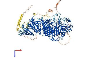 AlphaFold protein structure predicition of Human Recombinant PLD1 Protein, UniprotID Q13393