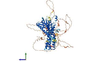 AlphaFold protein structure predicition of Mouse Recombinant Plekhg6 Protein, UniprotID Q8R0J1