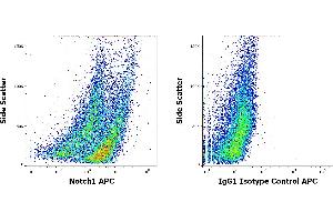 Flow cytometry intracellular staining patterns of PHA stimulated human peripheral whole blood stained using anti-Notch1 (mN1A) PE antibody (concentration in sample 3 μg/mL, left) or mouse IgG1 isotype control (MOPC-21) PE antibody (concentration in sample 3 μg/mL, same as Notch1 PE concentration, right). (Notch1 anticorps  (APC))