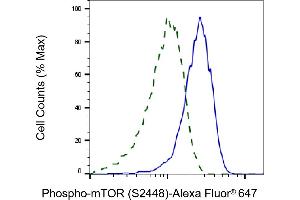 Validation of mTOR knockdown using flow cytometry. (Recombinant MTOR anticorps  (pSer2448))