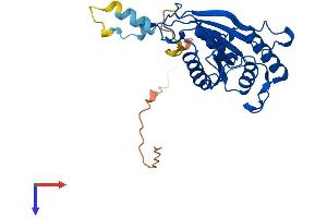 AlphaFold protein structure predicition of Mouse Recombinant Pgam5 Protein, UniprotID Q8BX10