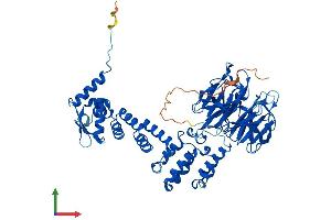 AlphaFold protein structure predicition of Human Recombinant KLHL21 Protein, UniprotID Q9UJP4
