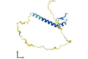 AlphaFold protein structure predicition of Mouse Recombinant Snrpc Protein, UniprotID Q62241