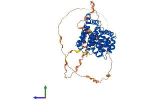 AlphaFold protein structure predicition of Human Recombinant ANXA11 Protein, UniprotID P50995