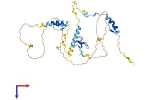 AlphaFold protein structure predicition of Human Recombinant ZC2HC1A Protein, UniprotID Q96GY0