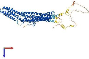 AlphaFold protein structure predicition of Human Recombinant TTYH2 Protein, UniprotID Q9BSA4