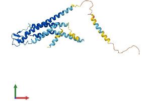 AlphaFold protein structure predicition of Human Recombinant GJB1 Protein, UniprotID P08034
