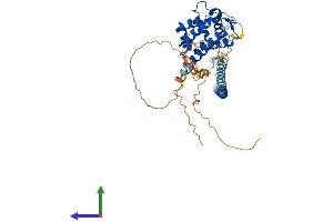 AlphaFold protein structure predicition of Mouse Recombinant Rundc3a Protein, UniprotID O08576
