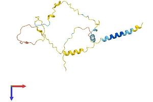 AlphaFold protein structure predicition of Mouse Recombinant Lat2 Protein, UniprotID Q9JHL0