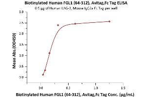 Immobilized Human LAG-3, Mouse IgG2a Fc Tag (ABIN5674633,ABIN6253716) at 5 μg/mL (100 μL/well) can bind Biotinylated Human FGL1 (64-312), Avitag,Fc Tag (ABIN6973071) with a linear range of 0.