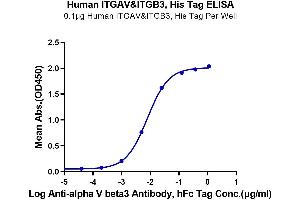 Immobilized Human ITGAV&ITGB3, His Tag at 1 μg/mL (100 μL/well) on the plate.