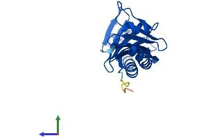 AlphaFold protein structure predicition of Human Recombinant TBPL1 Protein, UniprotID P62380