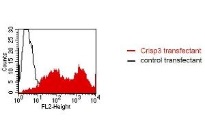 FACS analysis of BOSC23 cells using LV-2A2.