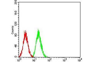Flow cytometric analysis of Hela cells using SOD2 mouse mAb (green) and negative control (red).