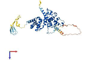 AlphaFold protein structure predicition of Human Recombinant BRF2 Protein, UniprotID Q9HAW0