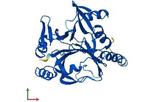AlphaFold protein structure predicition of Mouse Recombinant Glod4 Protein, UniprotID Q9CPV4