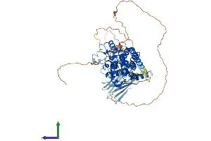AlphaFold protein structure predicition of Human Recombinant SHQ1 Protein, UniprotID Q6PI26