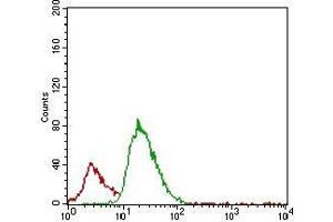 Flow cytometric analysis of JURKAT cells using ACP5 mouse mAb (green) and negative control (red).