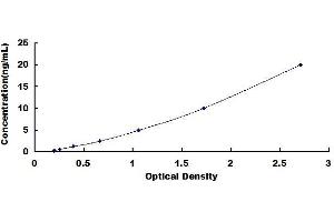 Typical standard curve (ESR2 Kit ELISA)