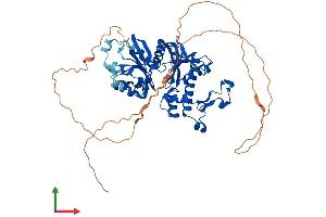 AlphaFold protein structure predicition of Mouse Recombinant Pank1 Protein, UniprotID Q8K4K6