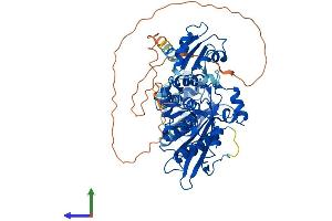 AlphaFold protein structure predicition of Mouse Recombinant Parn Protein, UniprotID Q8VDG3