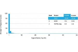 Analysis of Protein Array containing more than 19,000 full-length human proteins using TRAF1 Mouse Monoclonal Antibody (TRAF1/2770) Z- and S- Score: The Z-score represents the strength of a signal that a monoclonal antibody (Monoclonal Antibody) (in combination with a fluorescently-tagged anti-IgG secondary antibody) produces when binding to a particular protein on the HuProtTM array.