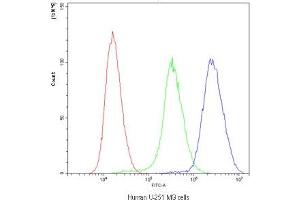 Flow cytometry testing of human U-251 MG cells with Purine Nucleoside Phosphorylase antibody at 1ug/10^6 cells (blocked with goat sera) (PNP anticorps  (AA 161-189))