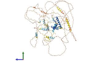 AlphaFold protein structure predicition of Human Recombinant BBX Protein, UniprotID Q8WY36