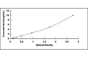 Typical standard curve (WNT10B Kit ELISA)