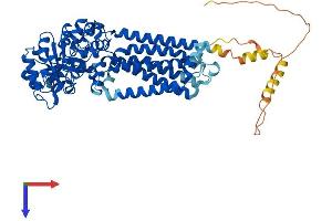 AlphaFold protein structure predicition of Human Recombinant GDPD5 Protein, UniprotID Q8WTR4