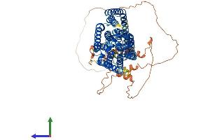 AlphaFold protein structure predicition of Mouse Recombinant Slc20a2 Protein, UniprotID Q80UP8