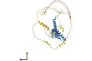 AlphaFold protein structure predicition of Human Recombinant NEUROD1 Protein, UniprotID Q13562