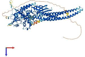 AlphaFold protein structure predicition of Mouse Recombinant Stat5a Protein, UniprotID P42230