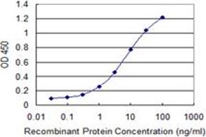 Detection limit for recombinant GST tagged ULK2 is 0. (ULK2 anticorps  (AA 743-843))